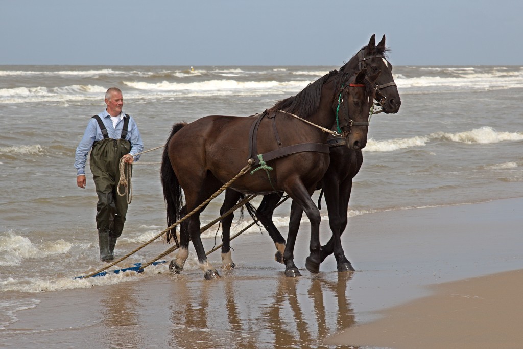 sar katwijk aan zee knrm evenement event festival reddingsdemonstratie search and rescue hulp Abraham Fock crashtender reddingsboot sos hulp in nood scheepsramp